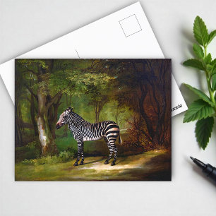 Zebra (1763) painting by George Stubbs  Postcard
