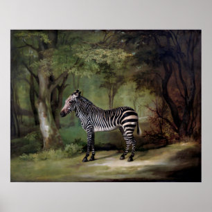 Zebra (1763) painting poster