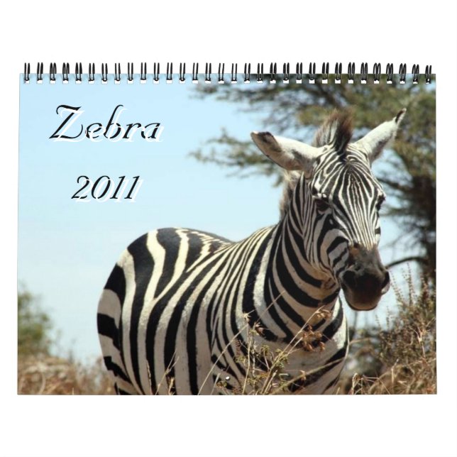 zebra 2011 calendar (Cover)