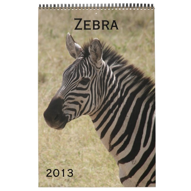 zebra 2013 calendar (Cover)