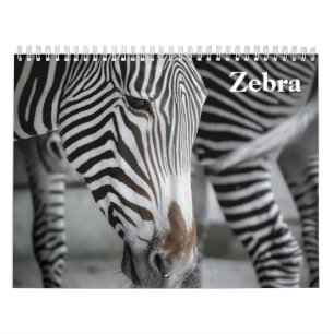 Zebra 2025 calendar