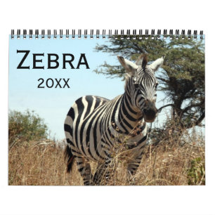 zebra 2025 calendar