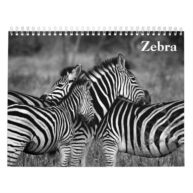 zebra 2026 calendar (Cover)