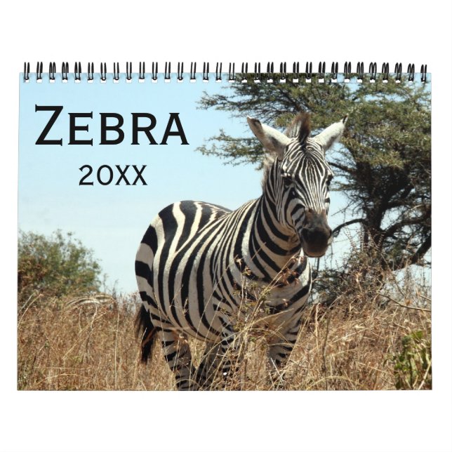 zebra 2026 calendar (Cover)