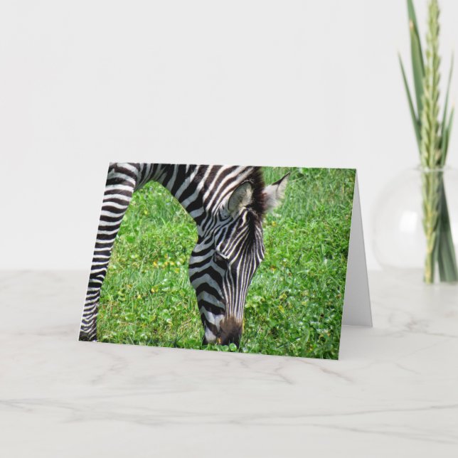 Zebra (2412) - Greeting Card (Front)