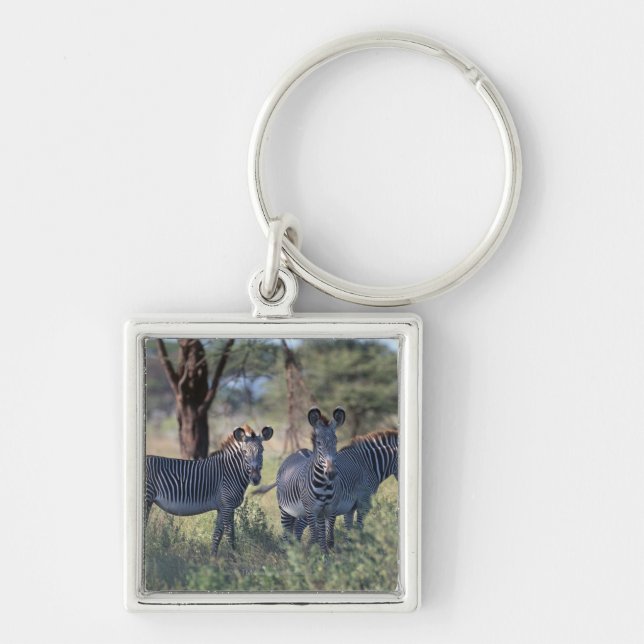 Zebra 2 key ring (Front)