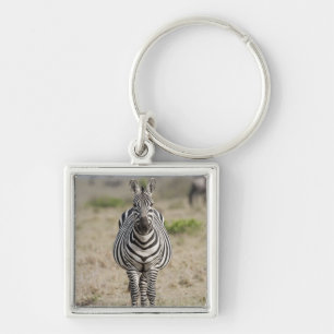 Zebra 2 key ring