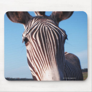 zebra 2 mouse mat