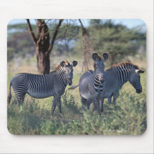 Zebra 2 mouse mat