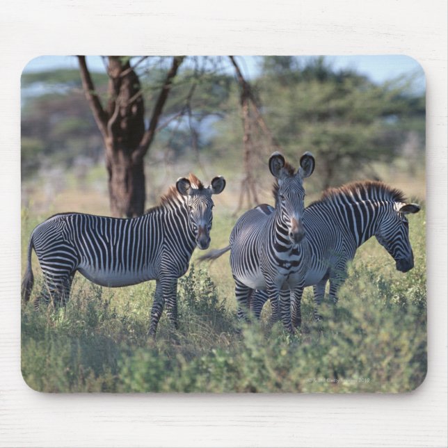 Zebra 2 mouse mat (Front)