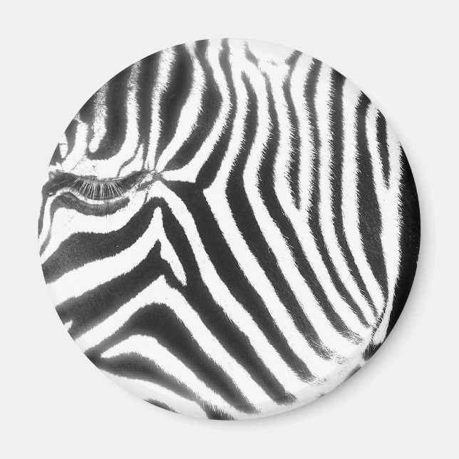 Zebra Abstract Magnet (Front)