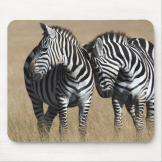 "Zebra Affection" Mouse Mat