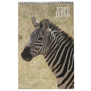 zebra africa calendar