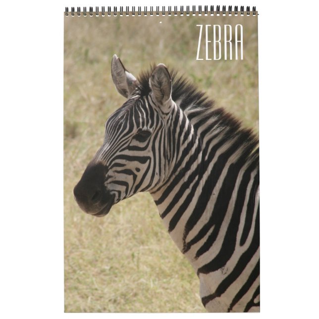 zebra africa calendar (Cover)