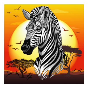Zebra African Savanna Wild Animal Photo Print
