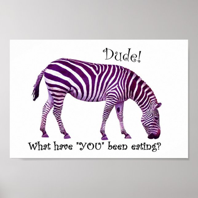 Zebra again.... poster (Front)