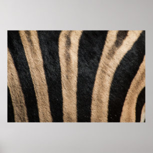 ZEBRA ANIMAL PRINT STRIPE