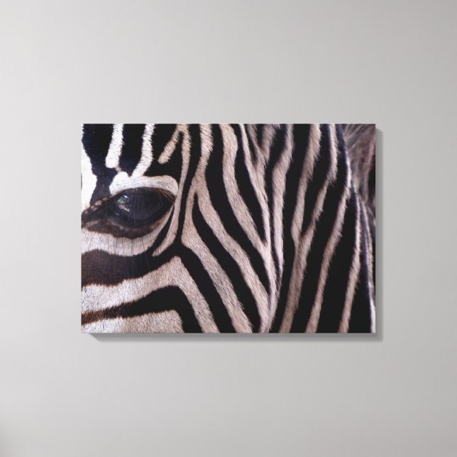 Zebra Art Canvas Print (Front)
