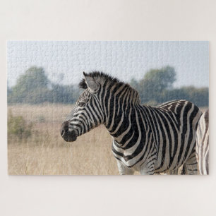 Zebra at the safari jigsaw puzzle