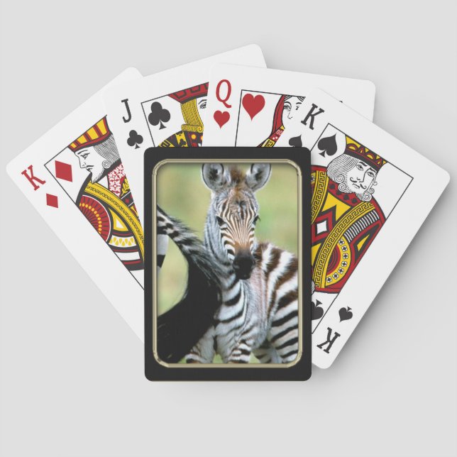 Zebra Baby  Photo Art Playing Cards (Back)