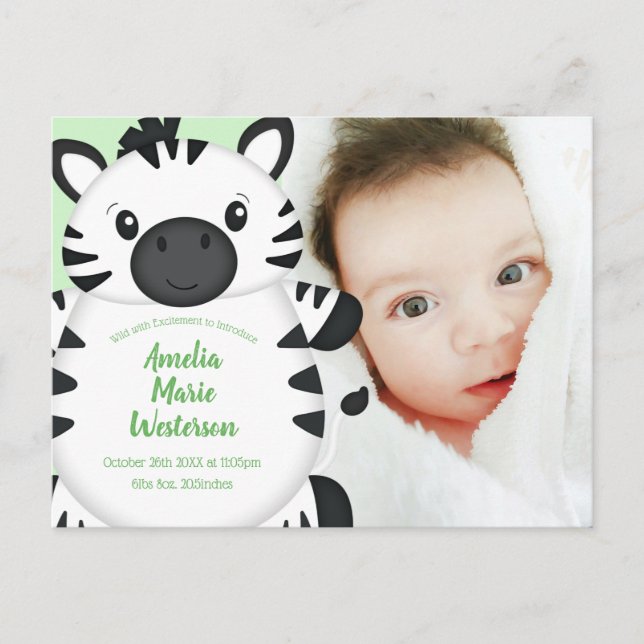 Zebra Baby Shower Postcard (Front)