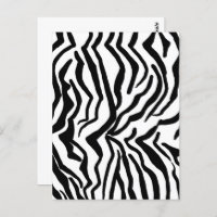 Zebra Black And White Hide Fur Pattern
