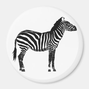 Zebra - Black and White Magnet