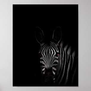 Zebra, black and white photograph poster