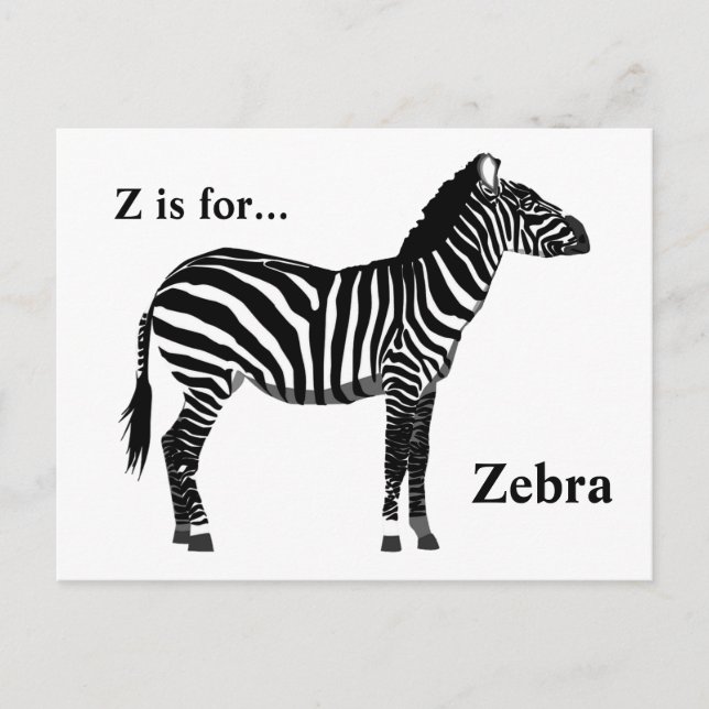 Zebra - Black and White Postcard (Front)