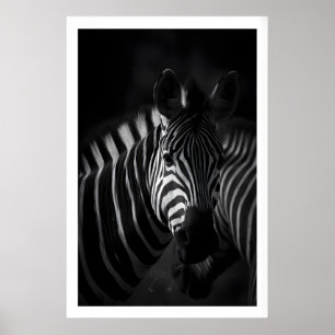 Zebra Black and White Print, Close-Up Portrait Poster