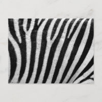 Zebra Black and White Striped Skin Texture Templat