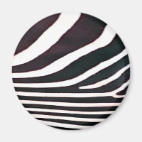 Zebra Black and White Stripes Print