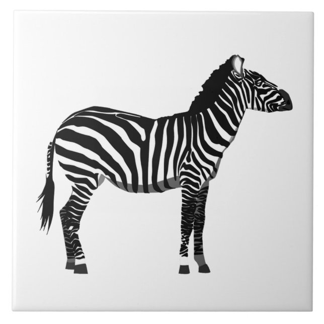 Zebra - Black and White Tile (Front)