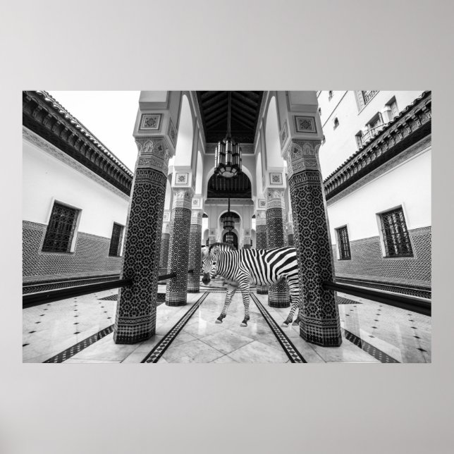 Zebra Black White Building Landscape Poster (Front)
