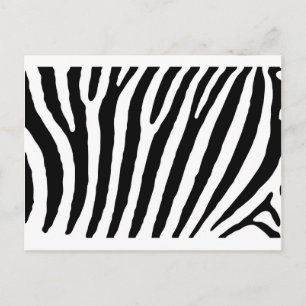 Zebra Black & White Lines Postcard