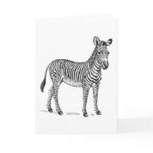 Zebra Blank Greetings Card