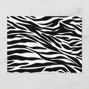 zebra; blank postcard