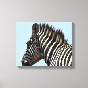 zebra blue canvas print