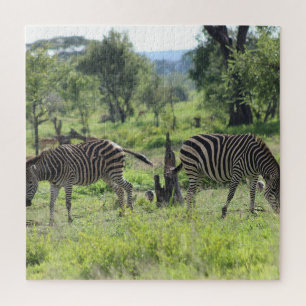 Zebra Buddies Jigsaw Puzzle