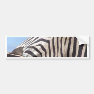 Zebra Bumper Sticker