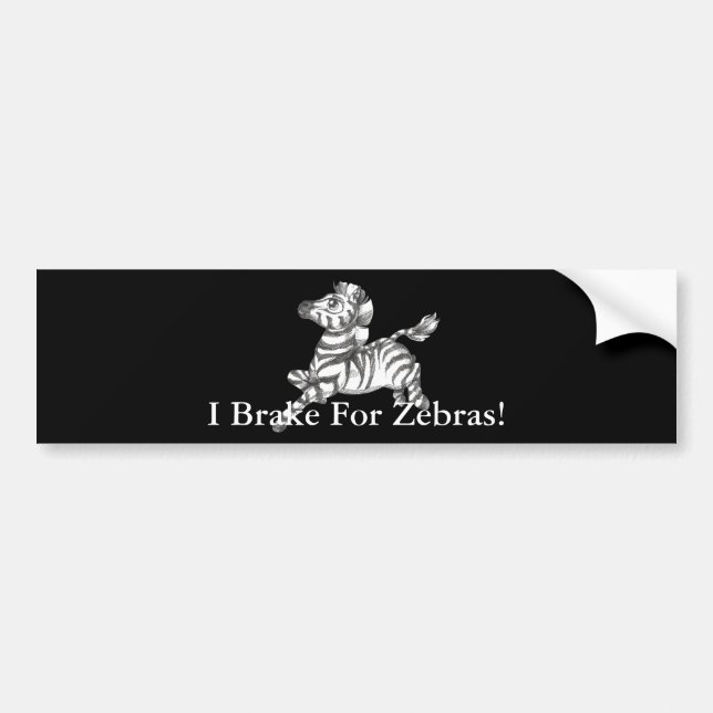 Zebra Bumper Sticker (Front)