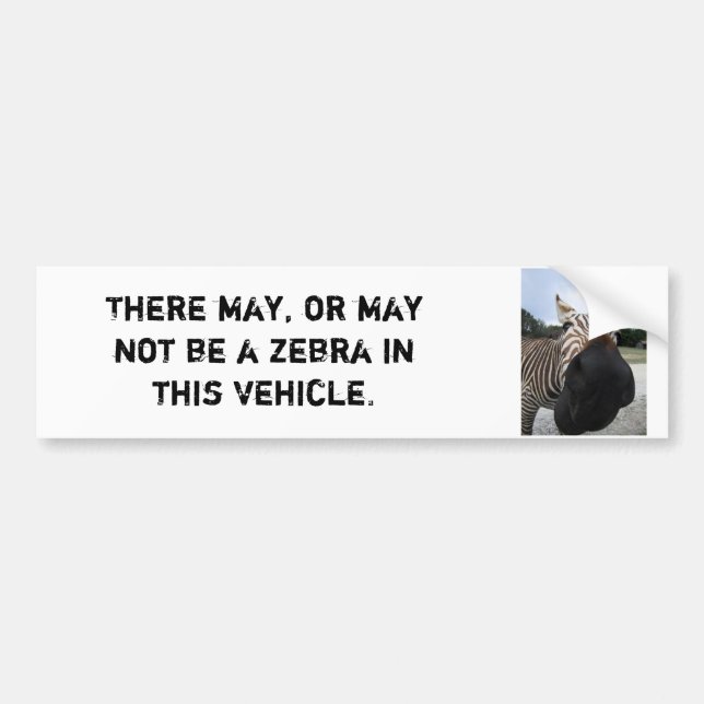 Zebra Bumper Sticker - Funny! (Front)