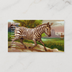 Zebra Business Card