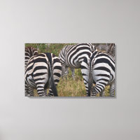 Zebra Butts Canvas Art Print