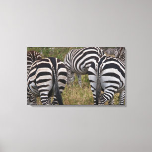 Zebra Butts Canvas Art Print