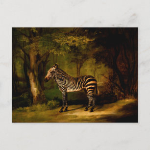 Zebra by George Stubbs (1763) Postcard