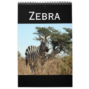 zebra calendar