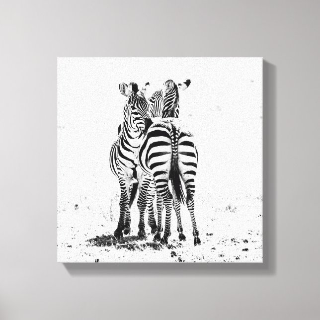 Zebra Canvas Print (Front)