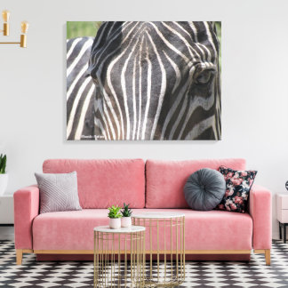 zebra  canvas print