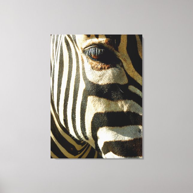 Zebra Canvas Print (Front)
